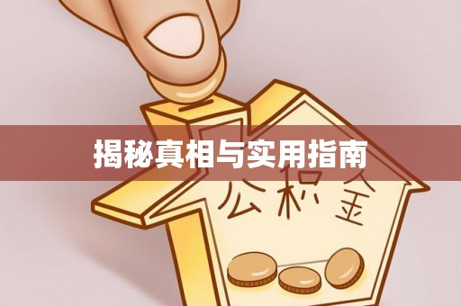 新都揭秘真相与实用指南