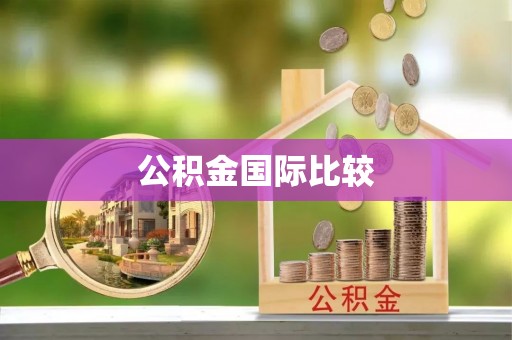 新都公积金国际比较