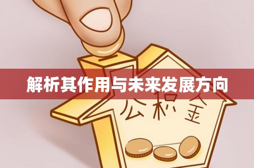 新都解析其作用与未来发展方向